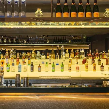 酒店 伊比沙w酒店 5*